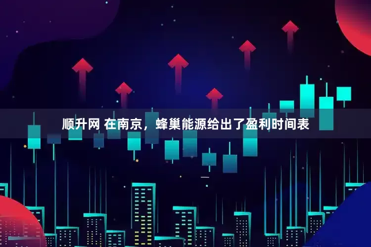 顺升网 在南京，蜂巢能源给出了盈利时间表