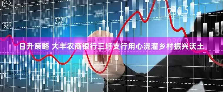 日升策略 大丰农商银行三圩支行用心浇灌乡村振兴沃土