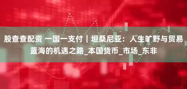 股查查配资 一国一支付｜坦桑尼亚：人生旷野与贸易蓝海的机遇之路_本国货币_市场_东非