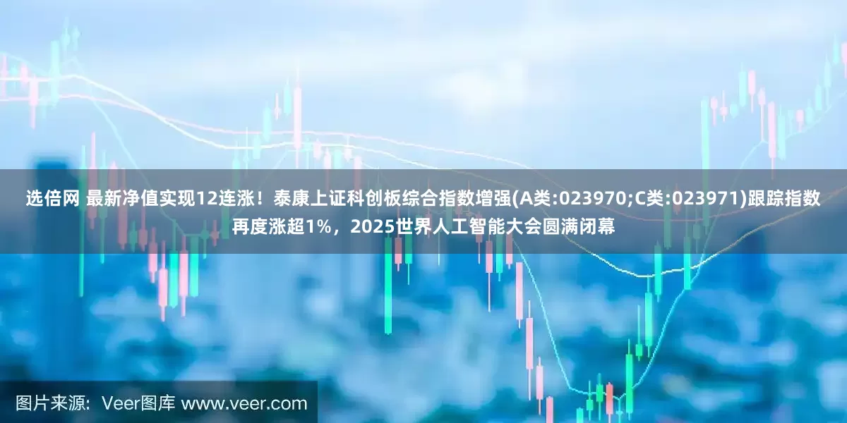 选倍网 最新净值实现12连涨！泰康上证科创板综合指数增强(A类:023970;C类:023971)跟踪指数再度涨超1%，2025世界人工智能大会圆满闭幕